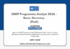 UNDP Programme Analyst 2026 - Bonn, Germany (Paid)