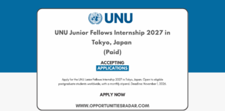 UNU Junior Fellows Internship 2027